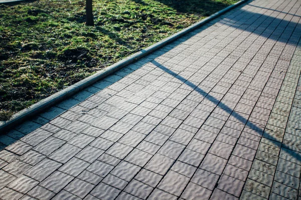 Yeşil bitkilerle dolu bahçe taşı patikası, gündüz vakti tuğla kaldırım. 