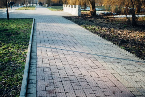 Yeşil bitkilerle dolu bahçe taşı patikası, gündüz vakti tuğla kaldırım. 