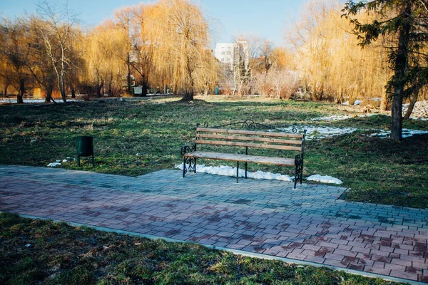 Şehir parkındaki ahşap bank.