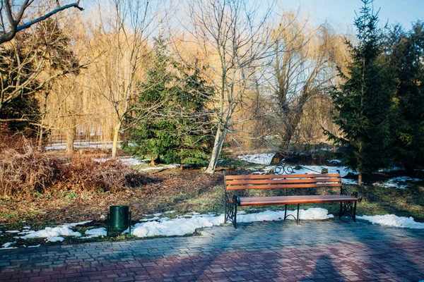 Holzbank Stadtpark — Stockfoto