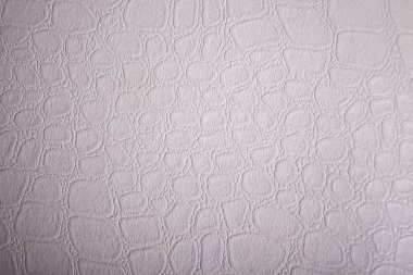 beyaz derinin dokusu