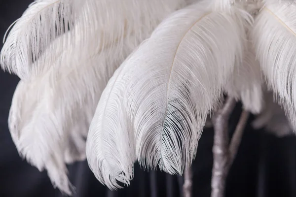 White palm tree made of feathers, stylish studio decoration