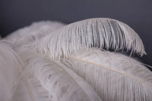 White palm tree made of feathers, stylish studio decoration