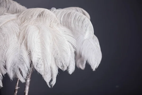 White palm tree made of feathers, stylish studio decoration