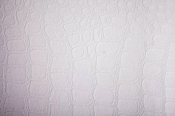 Texture Cuir Blanc — Photo