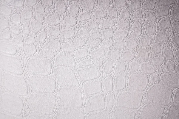 Texture Cuir Blanc — Photo