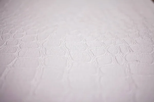 Texture Cuir Blanc — Photo
