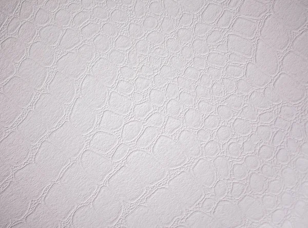 Texture Cuir Blanc — Photo