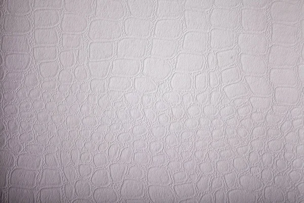 Texture Cuir Blanc — Photo