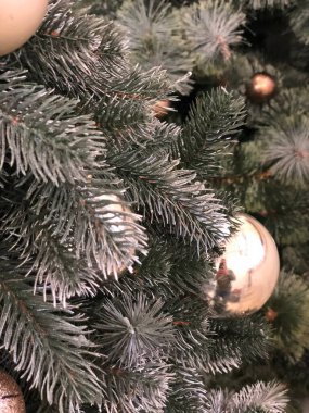 Noel ve Yeni Yıl tatilleri geçmişi, kış mevsimi ağacı