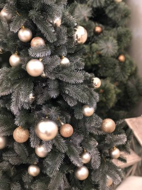 Noel ve Yeni Yıl tatilleri geçmişi, kış mevsimi ağacı