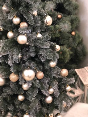 Noel ve Yeni Yıl tatilleri geçmişi, kış mevsimi ağacı