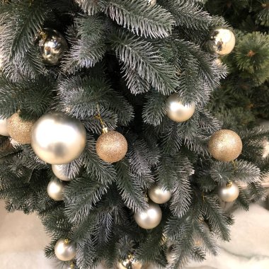 Noel ve Yeni Yıl tatilleri geçmişi, kış mevsimi ağacı