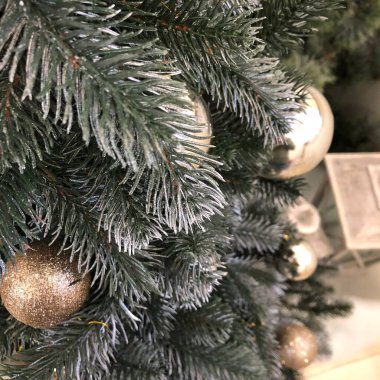 Noel ve Yeni Yıl tatilleri geçmişi, kış mevsimi ağacı