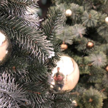 Noel ve Yeni Yıl tatilleri geçmişi, kış mevsimi ağacı