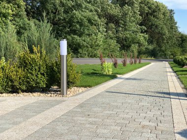 Yeşil bitkilerle dolu bahçe taşı patikası, gündüz vakti tuğla kaldırım. 