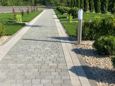 Yeşil bitkilerle dolu bahçe taşı patikası, gündüz vakti tuğla kaldırım. 