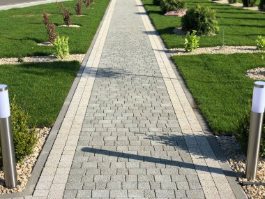 Yeşil bitkilerle dolu bahçe taşı patikası, gündüz vakti tuğla kaldırım. 