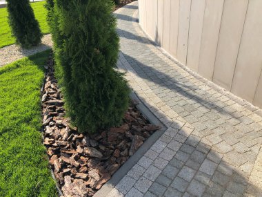 Yeşil bitkilerle dolu bahçe taşı patikası, gündüz vakti tuğla kaldırım. 