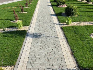 Yeşil bitkilerle dolu bahçe taşı patikası, gündüz vakti tuğla kaldırım. 