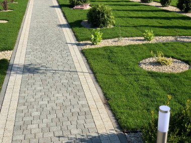 Yeşil bitkilerle dolu bahçe taşı patikası, gündüz vakti tuğla kaldırım. 