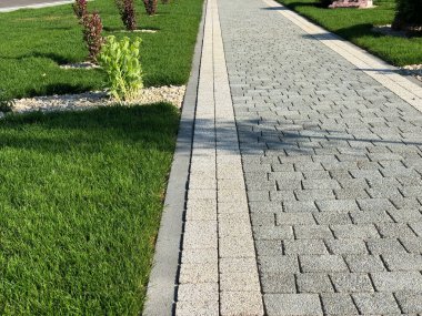 Yeşil bitkilerle dolu bahçe taşı patikası, gündüz vakti tuğla kaldırım. 