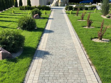 Yeşil bitkilerle dolu bahçe taşı patikası, gündüz vakti tuğla kaldırım. 
