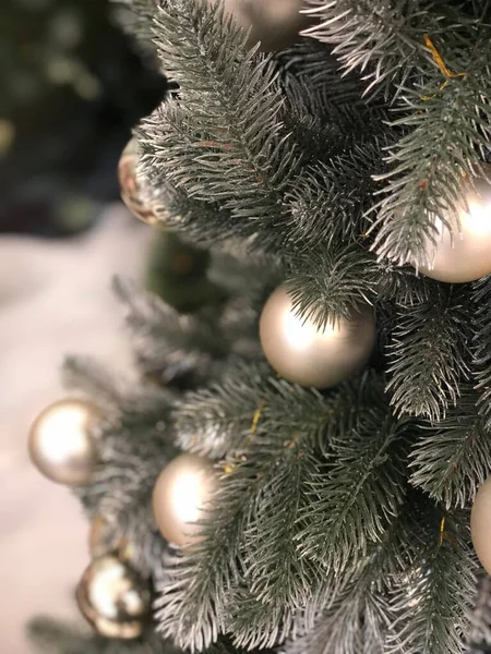 Vánoce Nový Rok Dovolená Pozadí Zimní Sezóna Strom — Stock fotografie