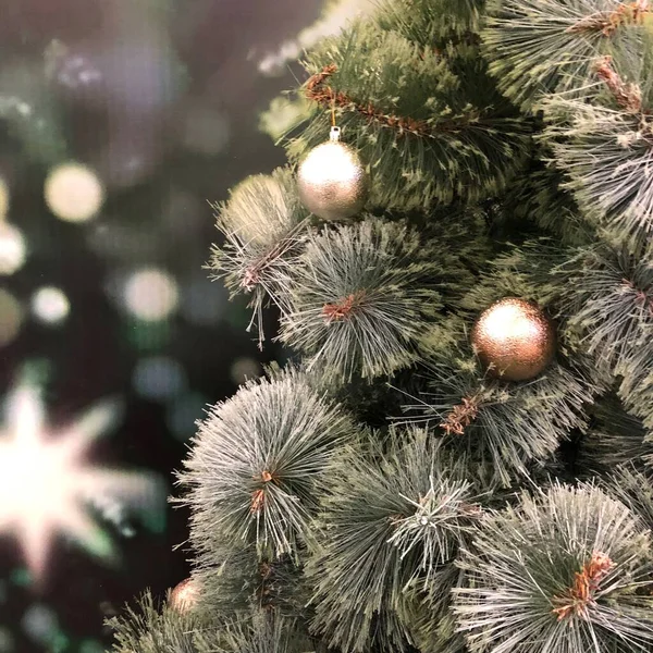 Navidad Año Nuevo Fondo Vacaciones Árbol Temporada Invierno —  Fotos de Stock