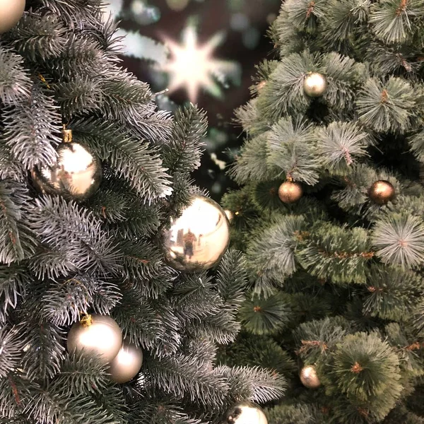 Jul Och Nyår Semester Bakgrund Vinter Säsong Träd — Stockfoto