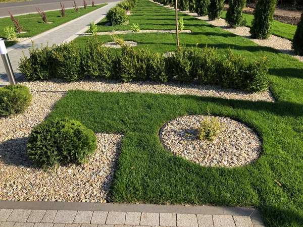 Chemin Pierre Jardin Avec Des Plantes Vertes Trottoir Brique Jour — Photo