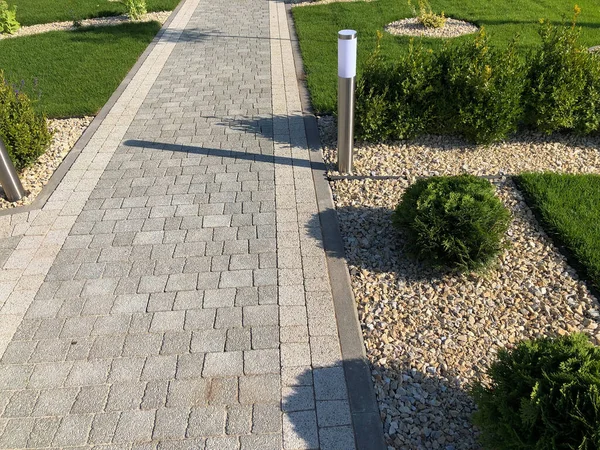 Garden stone path with green plants, brick sidewalk at daytime
