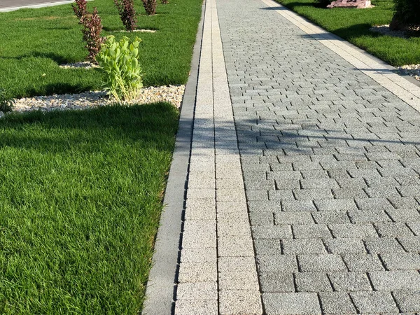 Trädgård Stenstig Med Gröna Växter Tegel Trottoar Dagtid — Stockfoto