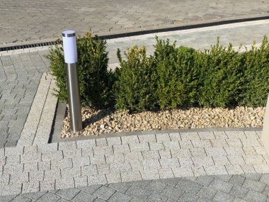 Yeşil bitkilerle dolu bahçe taşı patikası, gündüz vakti tuğla kaldırım. 