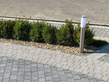 Yeşil bitkilerle dolu bahçe taşı patikası, gündüz vakti tuğla kaldırım. 