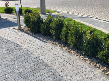 Yeşil bitkilerle dolu bahçe taşı patikası, gündüz vakti tuğla kaldırım. 