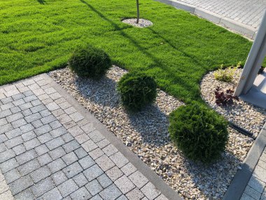 Yeşil bitkilerle dolu bahçe taşı patikası, gündüz vakti tuğla kaldırım. 