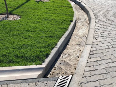 Yeşil bitkilerle dolu bahçe taşı patikası, gündüz vakti tuğla kaldırım. 