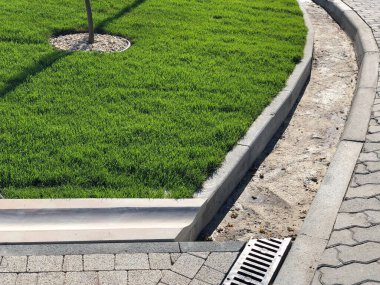 Yeşil bitkilerle dolu bahçe taşı patikası, gündüz vakti tuğla kaldırım. 