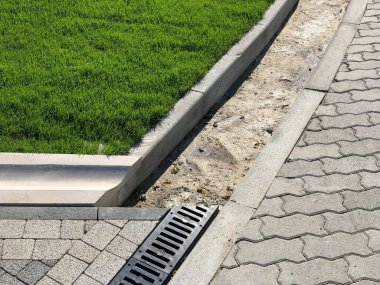 Yeşil bitkilerle dolu bahçe taşı patikası, gündüz vakti tuğla kaldırım. 