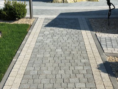 Yeşil bitkilerle dolu bahçe taşı patikası, gündüz vakti tuğla kaldırım. 