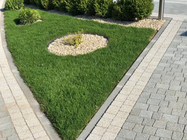 Yeşil bitkilerle dolu bahçe taşı patikası, gündüz vakti tuğla kaldırım. 