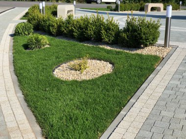 Yeşil bitkilerle dolu bahçe taşı patikası, gündüz vakti tuğla kaldırım. 