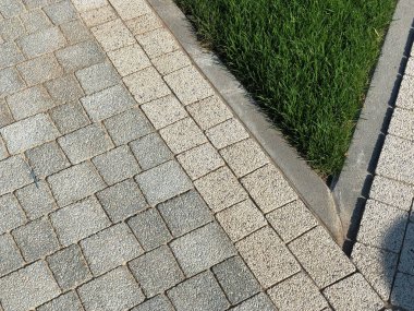 Gündüzleri şık bahçede çeşitli renklerde birbirine yakın köşeler.