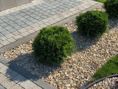 Yeşil bitkilerle dolu bahçe taşı patikası, gündüz vakti tuğla kaldırım. 