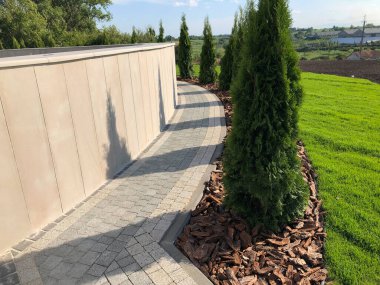 Yeşil bitkilerle dolu bahçe taşı patikası, gündüz vakti tuğla kaldırım. 