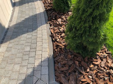 Gündüzleri şık bahçede çeşitli renklerde birbirine yakın köşeler.