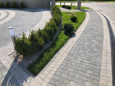 Yeşil bitkilerle dolu bahçe taşı patikası, gündüz vakti tuğla kaldırım. 