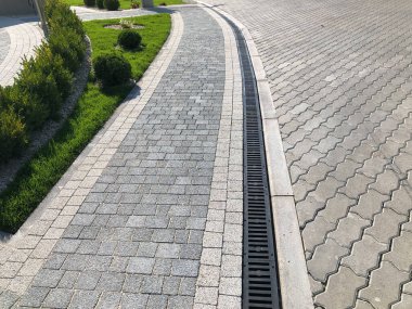 Yeşil bitkilerle dolu bahçe taşı patikası, gündüz vakti tuğla kaldırım. 