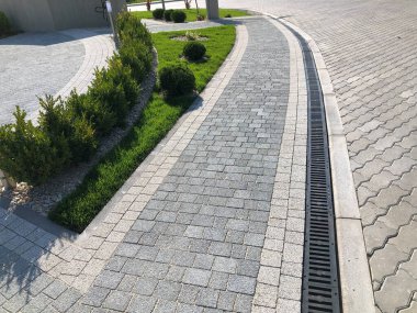 Yeşil bitkilerle dolu bahçe taşı patikası, gündüz vakti tuğla kaldırım. 